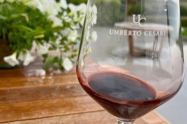 Half Day Wine Experience Tour from Ravenna