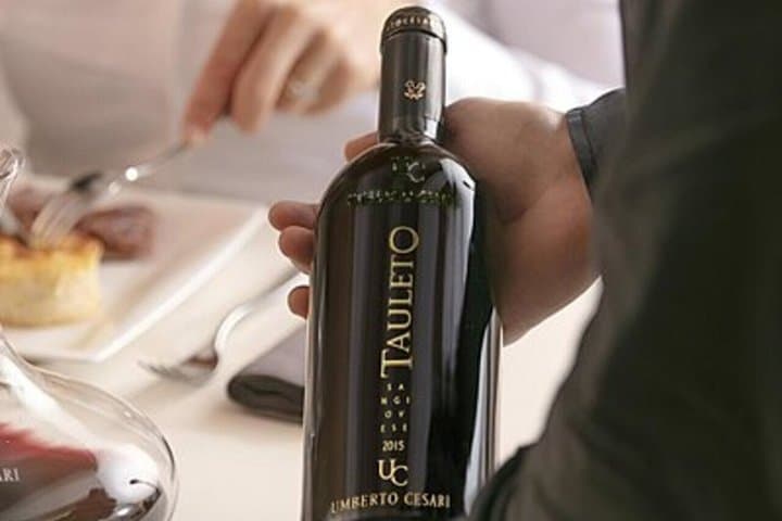 Half Day Wine Experience Tour from Ravenna