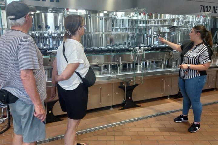 Half Day Wine Experience Tour from Ravenna