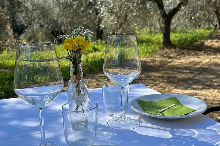 Tuscan Olive Oil Experience at a Family Mill