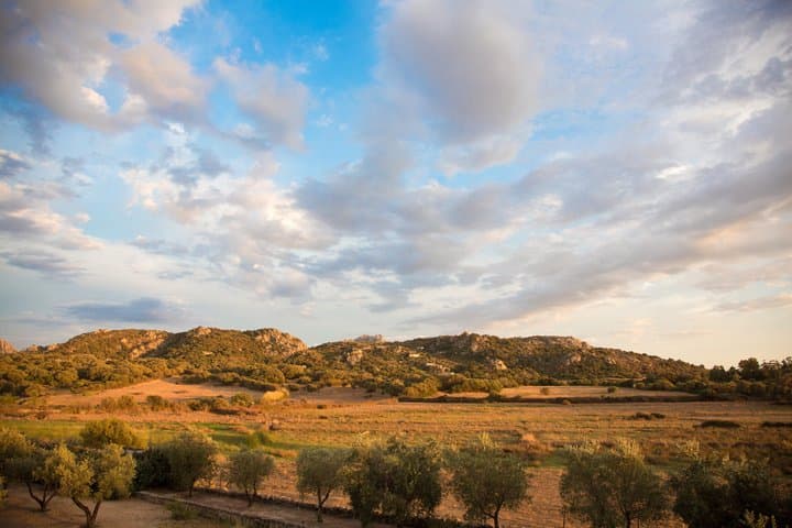 Winery, a taste of Sardinia - Italy