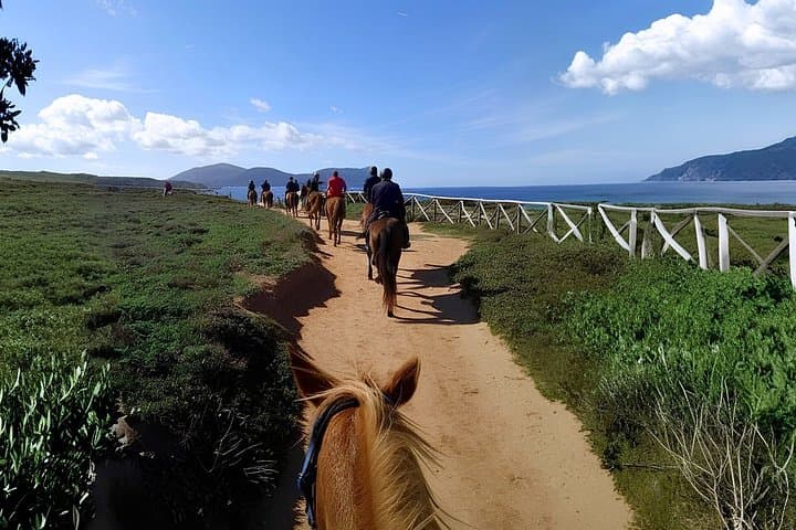 Alghero: horseback ride in Porto Ferro and Lake Baratz