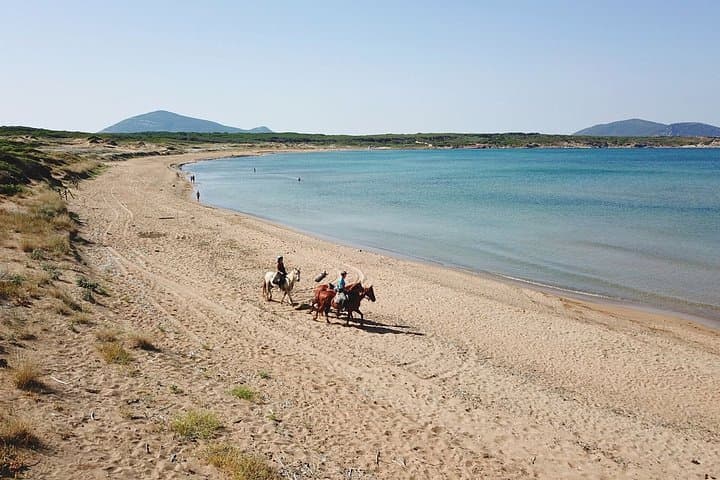 Alghero: horseback ride in Porto Ferro and Lake Baratz