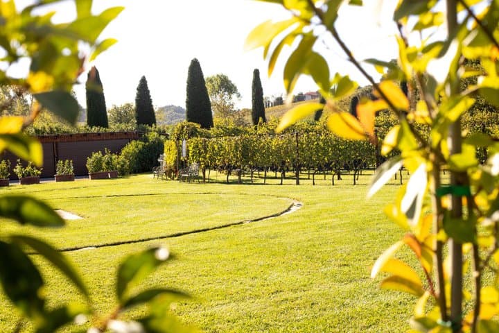 From Florence: Chianti Wine Tour with Tastings & San Gimignano