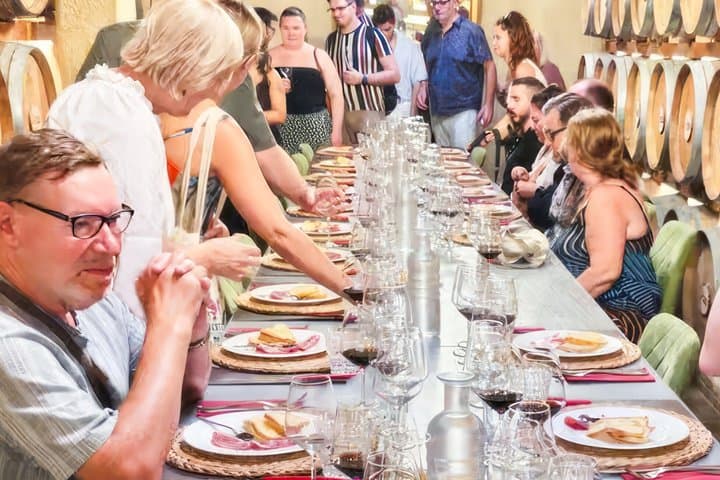Chianti Half Day Wine Tasting Tour from Siena