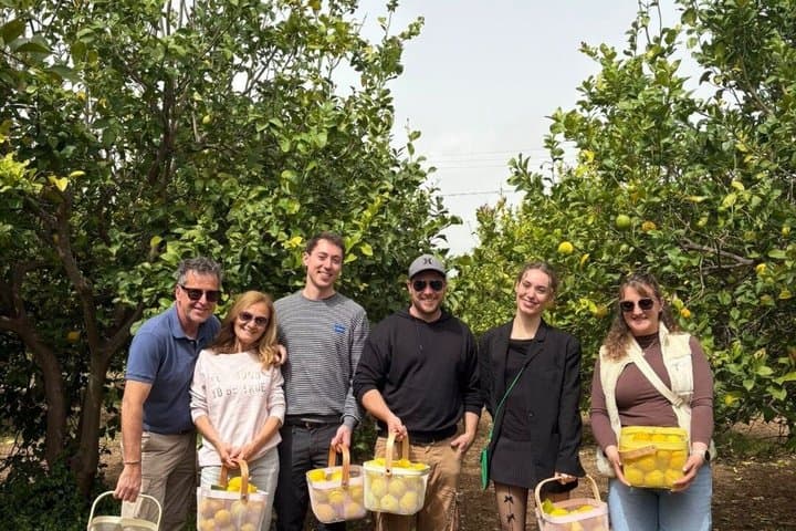 Olive oil tasting in Syracuse, Sicily - Evoo Tour