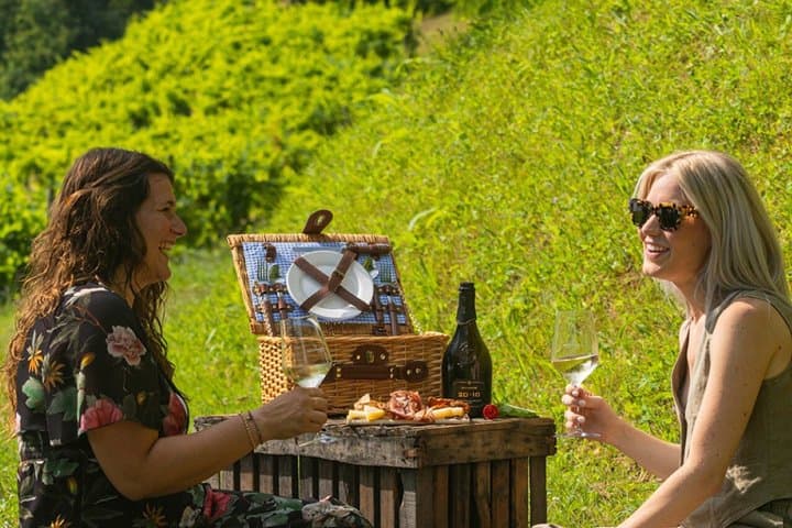 Valdobbiadene Prosecco Hills E-Bike & Picnic
