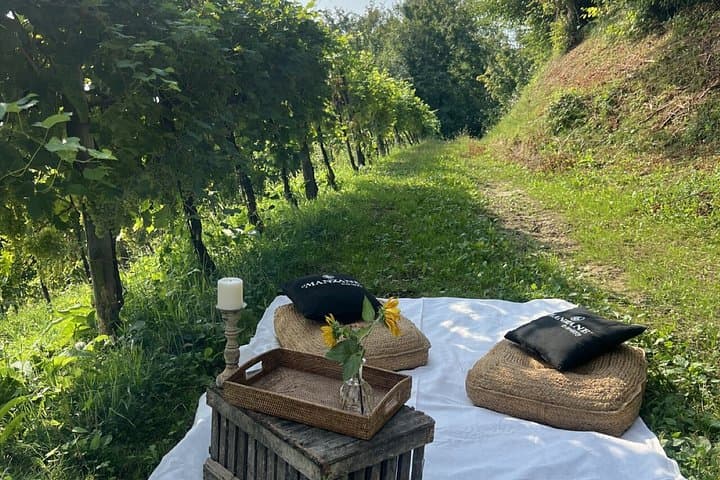 Valdobbiadene Prosecco Hills E-Bike & Picnic