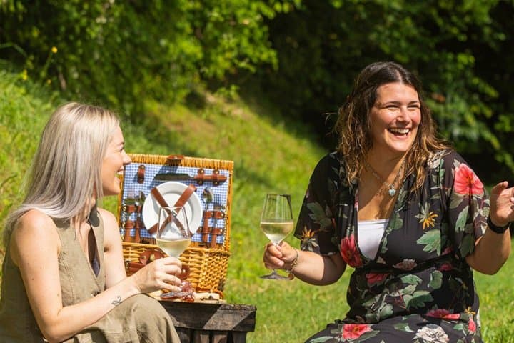 Valdobbiadene Prosecco Hills E-Bike & Picnic