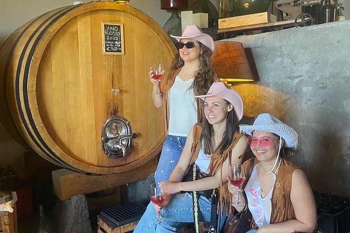 Etna Jeep Tour Lava and Wine from Catania - Catania Cruise - Taormina