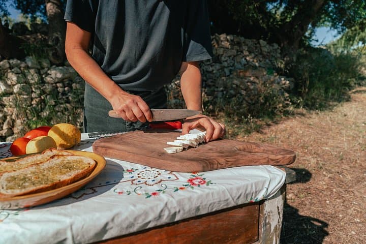 Olive Oil Tasting and Farm Tour in a Regenerative Sicilian Farm