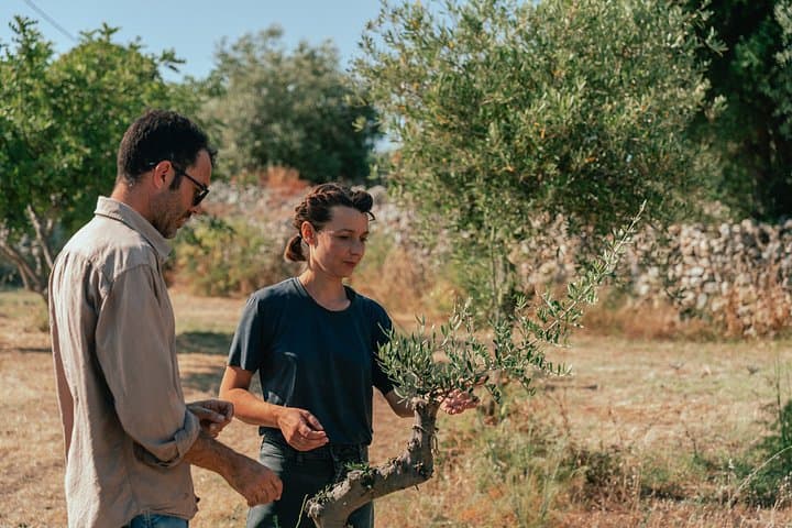 Olive Oil Tasting and Farm Tour in a Regenerative Sicilian Farm