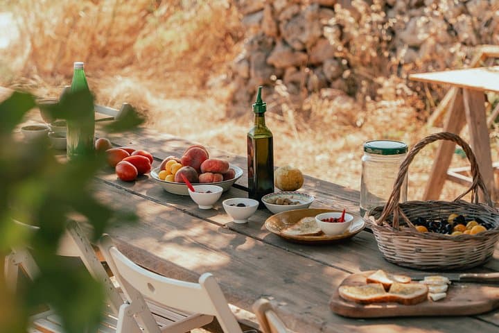 Olive Oil Tasting and Farm Tour in a Regenerative Sicilian Farm