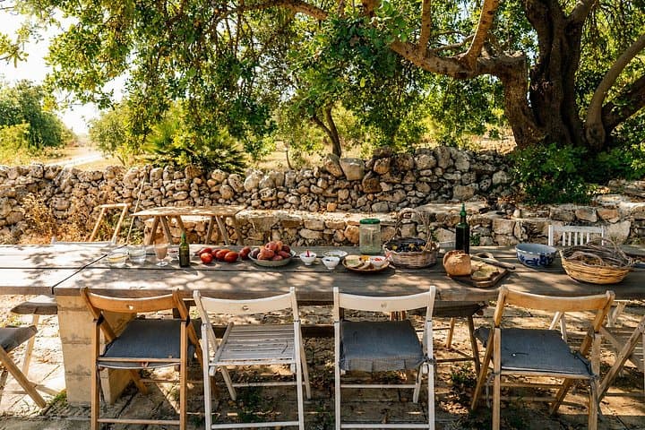 Olive Oil Tasting and Farm Tour in a Regenerative Sicilian Farm