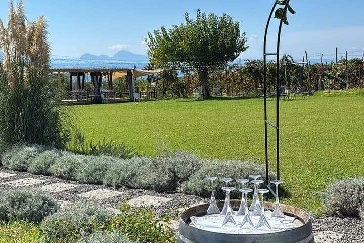 Pompeii Tour and Vesuvius Wine Tasting Day Trip from Naples