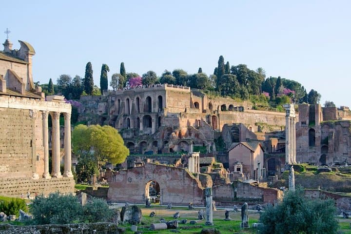 Roman Forum and Palatine Hill Archaeological Walking Tour