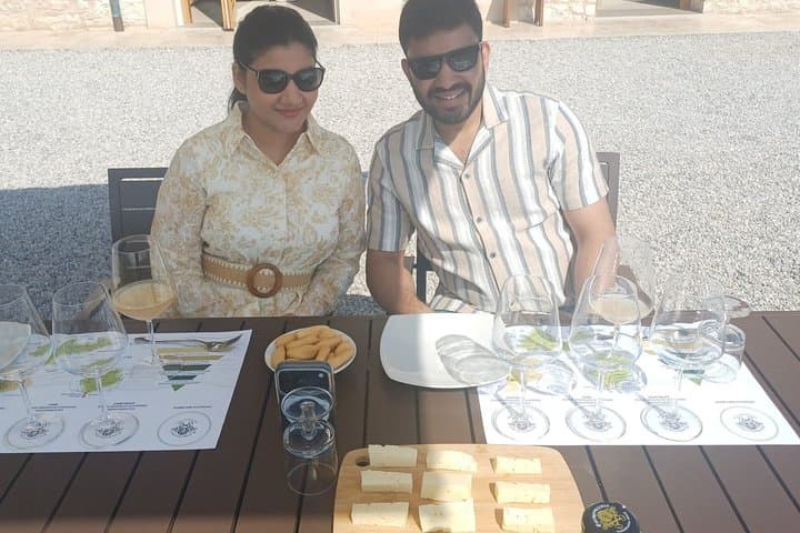 Premium Prosecco Hills Winery Tour with Prosecco Tastings & Food