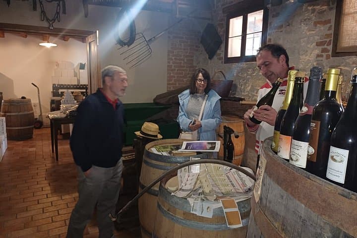 Premium Prosecco Hills Winery Tour with Prosecco Tastings & Food