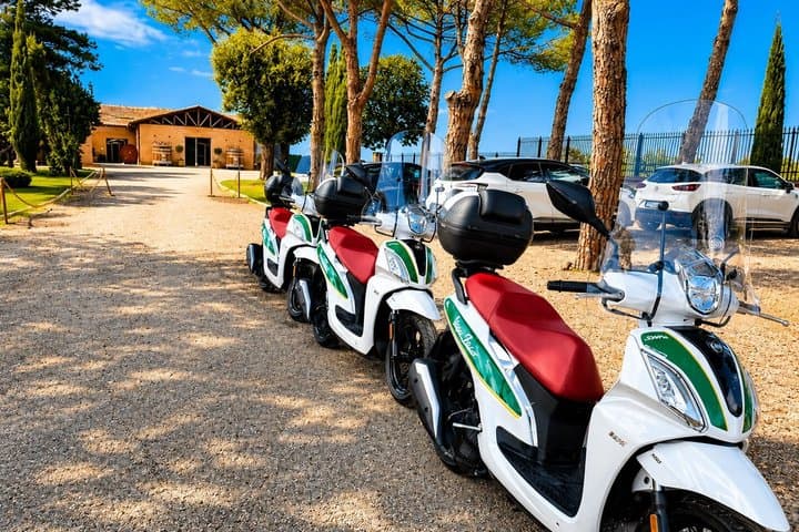 Chianti Scenic Drive with Wine Tastings & Tuscan Lunch