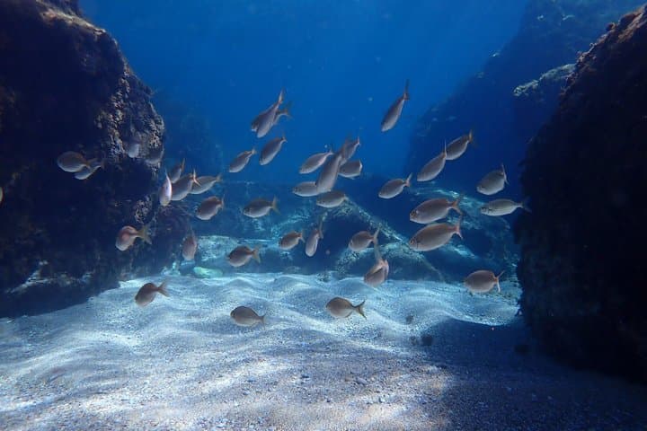 Giardini Naxos Taormina Isola Bella Blue Grotto Boat Tour