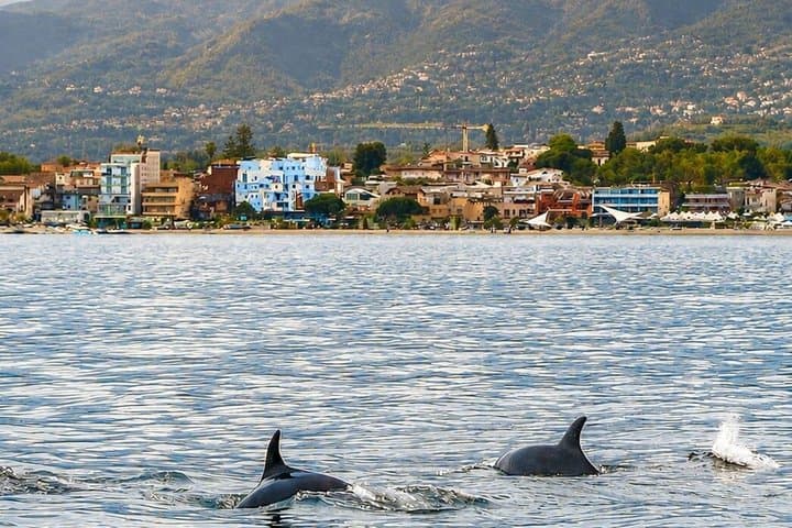 2.5 Hours Sunset Boat Tour in Search of Dolphins