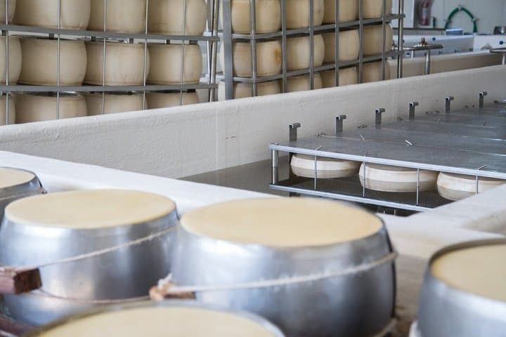 Parma: visit to the cheese factory and masterclass on Parmigiano Reggiano