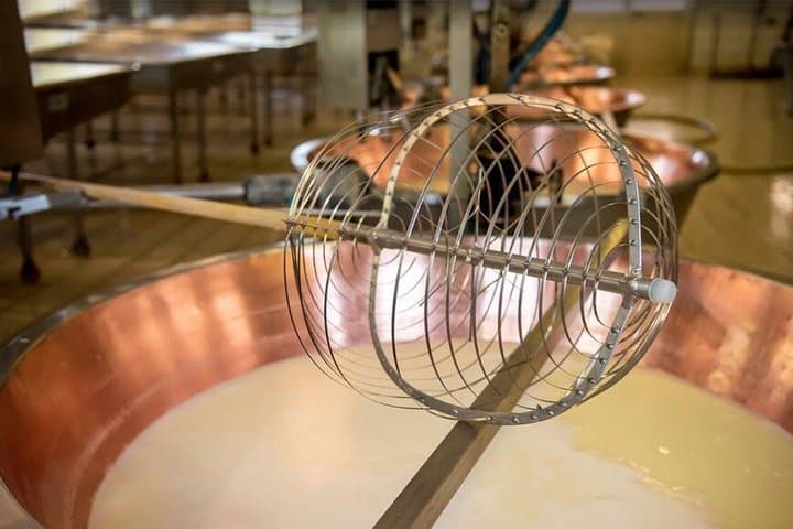 Parma: visit to the cheese factory and masterclass on Parmigiano Reggiano