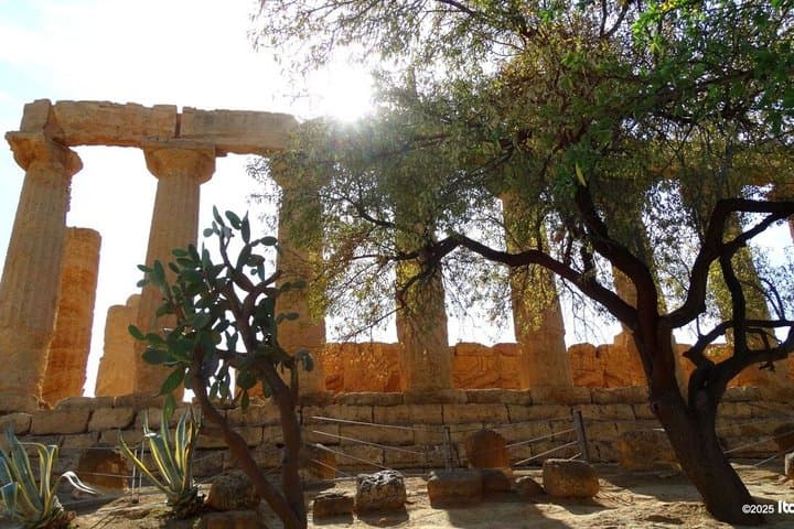 VALLEY OF THE TEMPLES (Agrigento) private guided tour