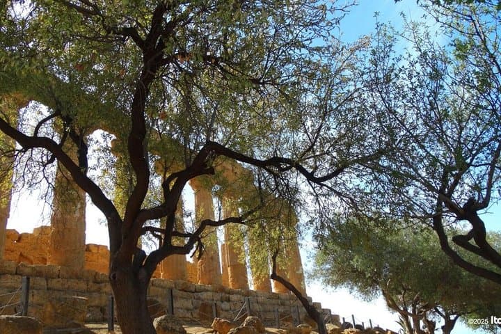 VALLEY OF THE TEMPLES (Agrigento) private guided tour