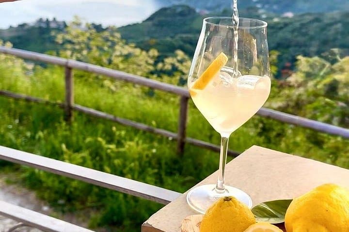 Seaview Wine Tasting Cinque Terre Wine School