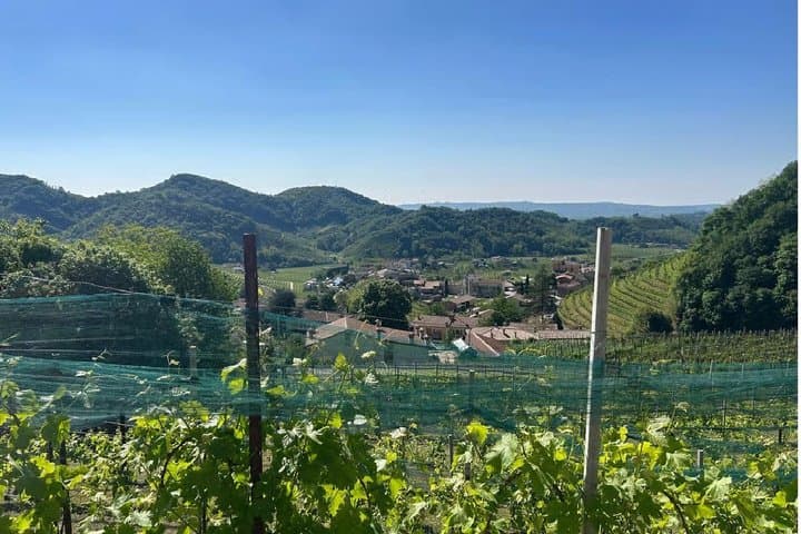 Experience Prosecco Hills with Wine and Food from Venice