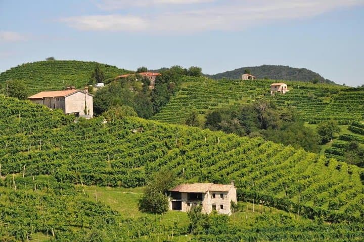 Experience Prosecco Hills with Wine and Food from Venice