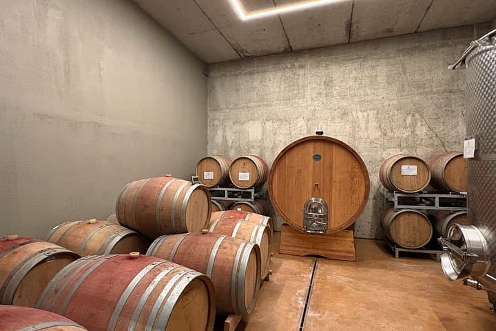 Winery Tour and Wine Tasting in Diano d'Alba with Barolo