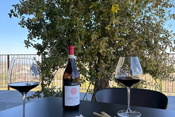 Winery Tour and Wine Tasting in Diano d'Alba with Barolo