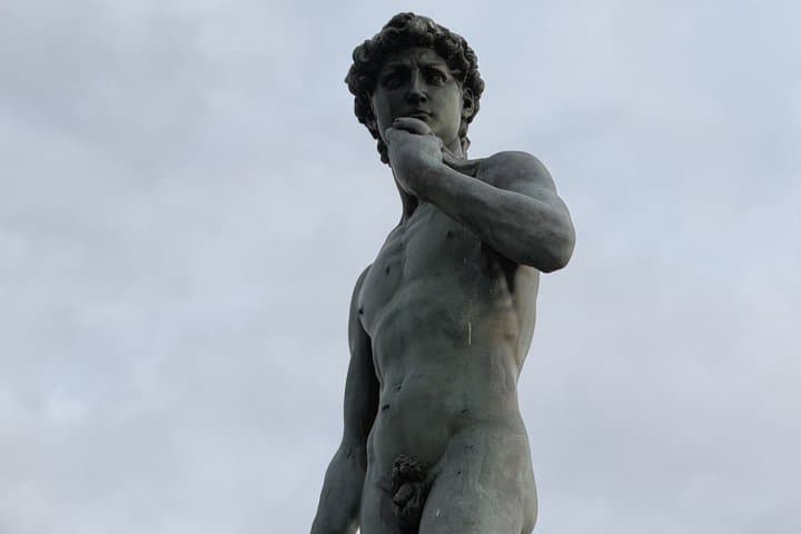 Accademia Gallery timed entry ticket