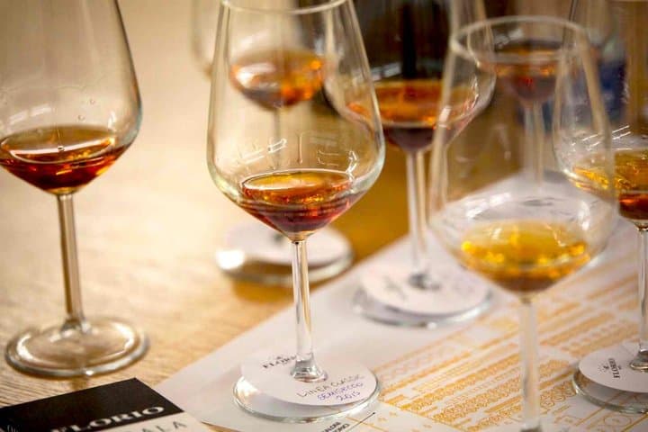 Visit to the Florio winery and wine tasting