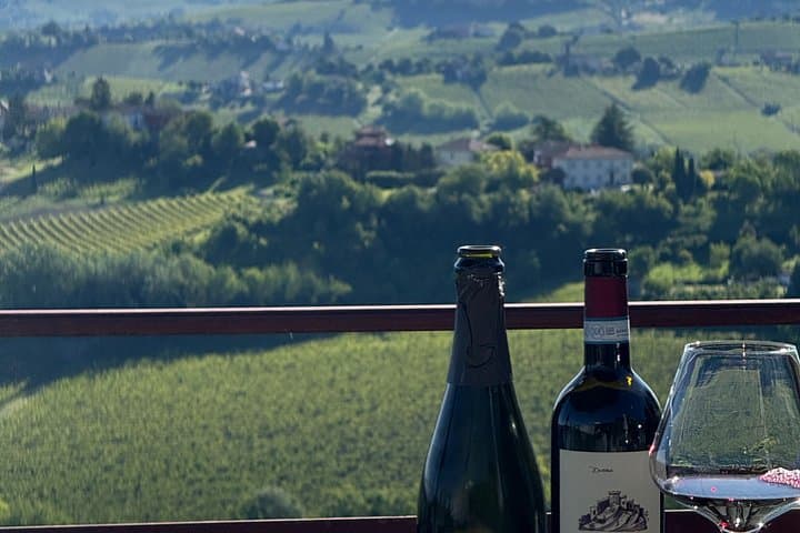 "Between Langhe and Monferrato" - Wine Tasting and Cellar Visit