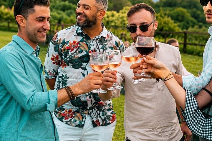 Wine tour and tasting of Valtenesi Wines in Salò