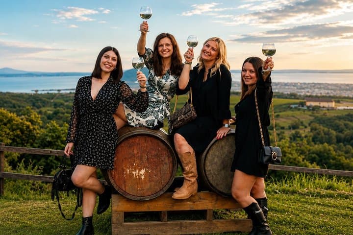 Wine tour and tasting of Valtenesi Wines in Salò