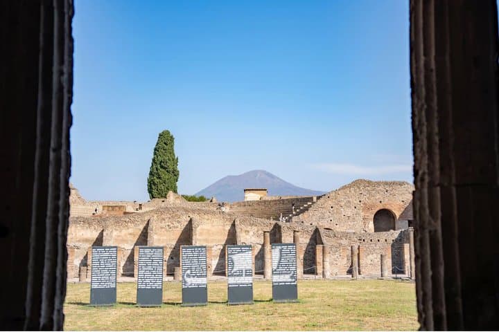 From Naples Pompeii Tour with Guide Ticket and Transfer Included