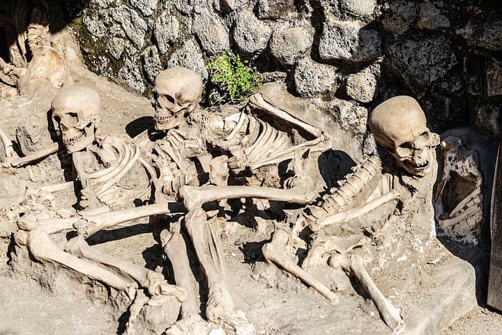 Herculaneum Half Day Tour from Sorrento with Tickets Included