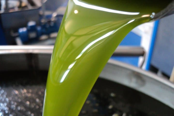 Olive Oil Tour and Tasting Experience in Salento