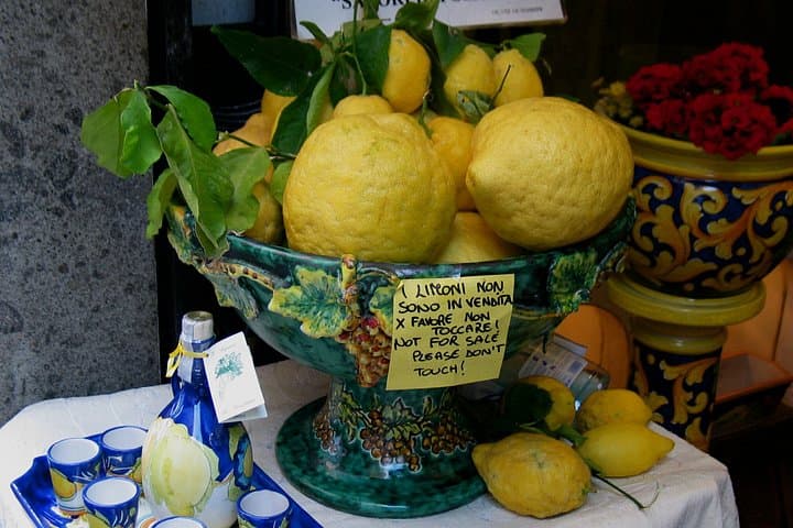 Pompeii and Sorrento Coast from Rome with Limoncello Farm Visit
