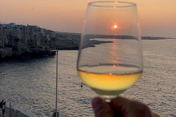 Boat tour in Polignano a mare shared