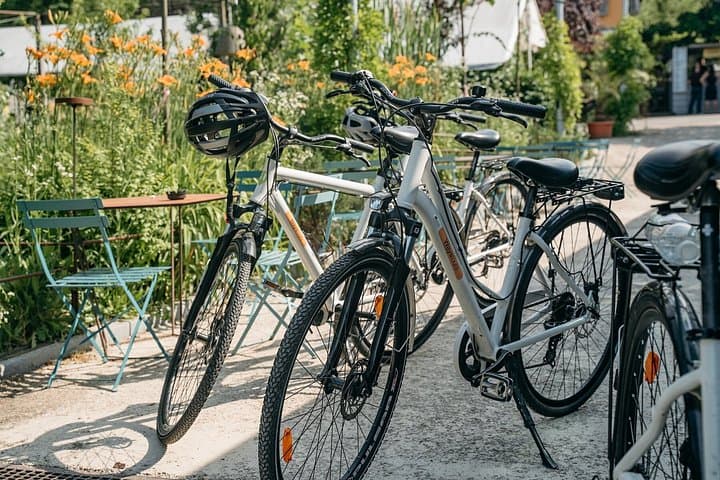Bologna Bike Tour: explore the Old Town & Secret Spots