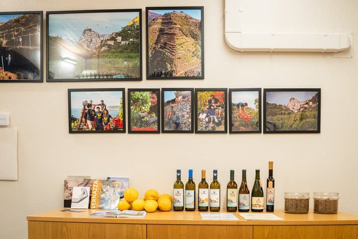 Heroic Wine Tasting in Vernazza