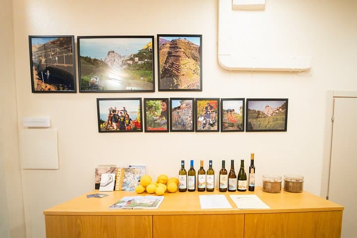 Heroic Wine Tasting in Vernazza