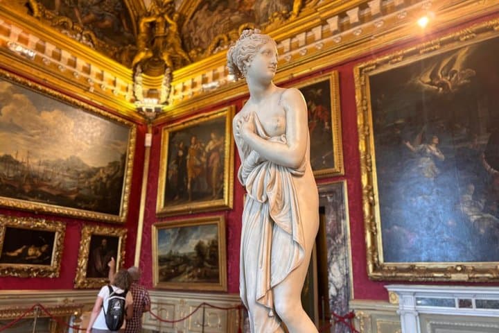 Timed entrance ticket to Palazzo Pitti