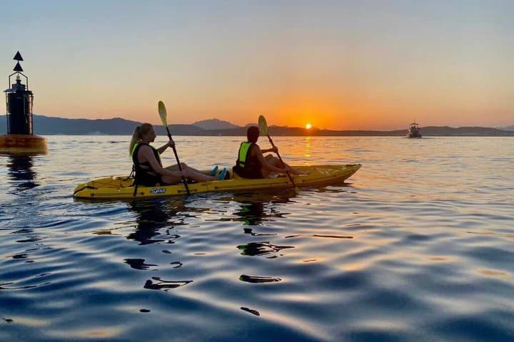 Golfo Aranci : Kayak tour with aperitif & dolphin sighting, small group