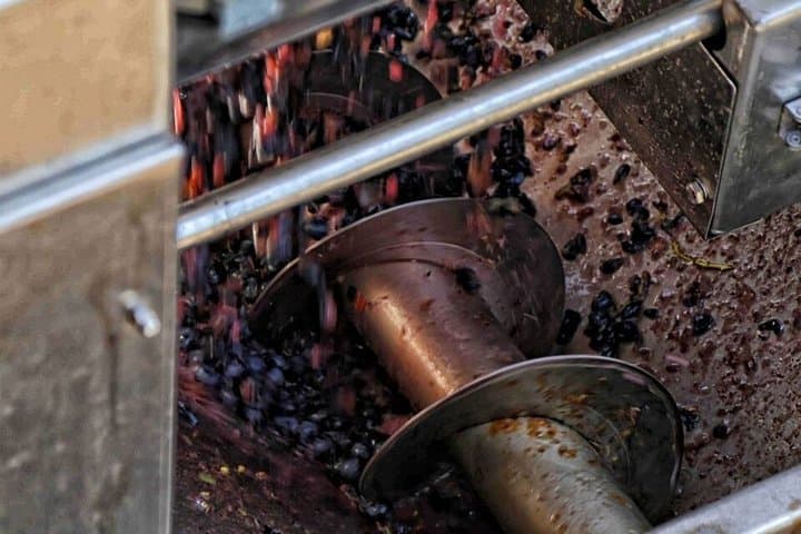 From Pompeii: Mount Vesuvius Wine Tasting and Lunch